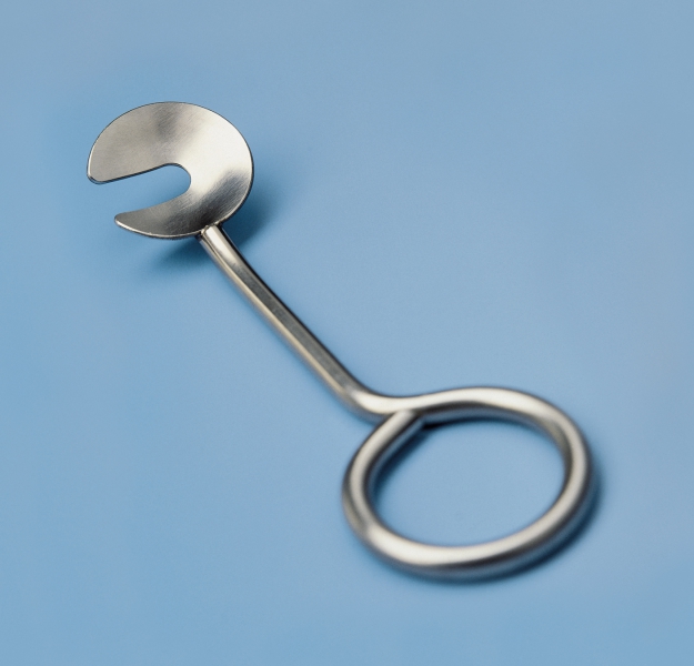 ahg button horn