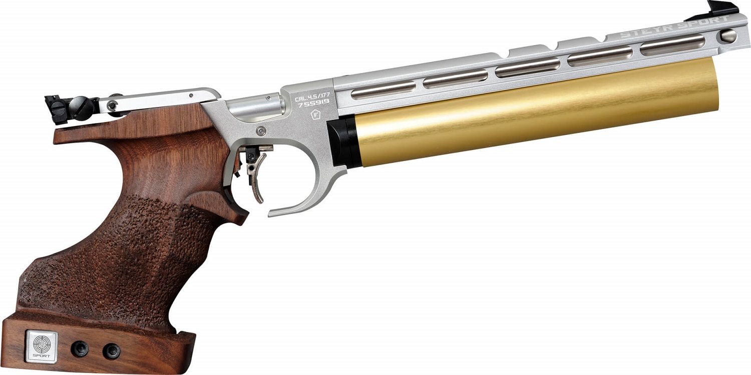steyr_evo-10-silber-gold-seitlich.jpg.jpeg